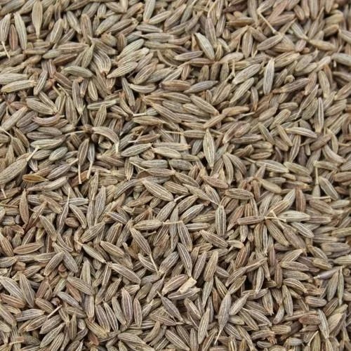 Cumin Seeds (Jeera)
